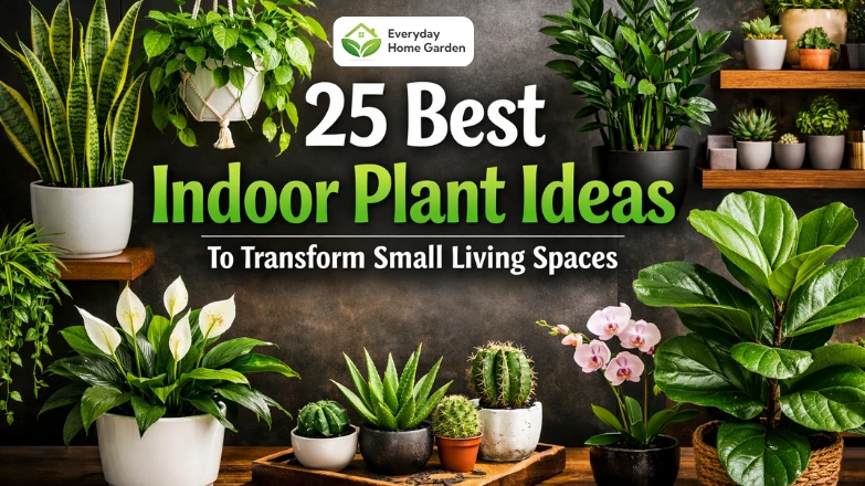 25 best indoor plant ideas to transform small living spaces